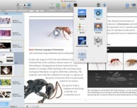 Come ottenere un codice EIN necessario per pubblicare libri interattivi su iBooks Store – Guida