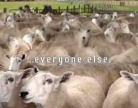 Samsung pubblica un teaser del nuovo Galaxy S con un attacco “velato” ad Apple: siamo tutti pecore!