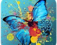 Photo Editor+: un semplice software per il foto editing su iPhone – La recensione di iPhoneItalia