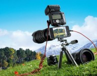 Composizioni statiche e dinamiche: tutto quello da sapere per scattare magnifiche foto con l’iPhone