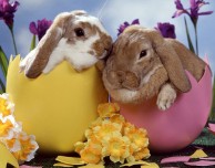 5 applicazioni per… la Pasqua
