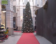 Olanda: torna l’albero di Natale davanti l’Apple Store