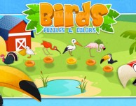 Birds: puzzle e disegni da colorare per i più piccoli in un solo gioco
