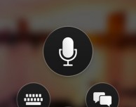 Microsoft Translator è disponibile anche offline