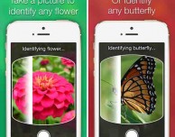LikeThat Garden: l’app per vivere al meglio la bella stagione