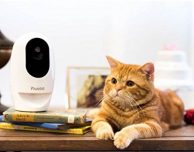 Pawbo+, la videocamera con dispenser di crocchette gestibile da iPhone