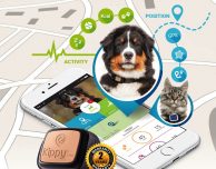 Kippy Vita, GPS e Activity Monitor per il tuo animale domestico – Recensione