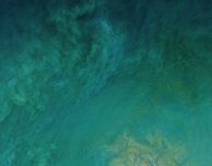 iOS 11: ecco i nuovi sfondi!