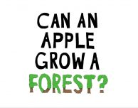 Apple annuncia il suo progetto per la protezione delle foreste