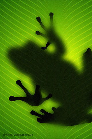 Wallpaper per iPhone: Frog