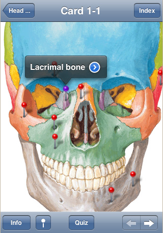 Netter’s Flash Card, le applicazioni mediche