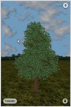 iphorest_iphone iphorest_iphone