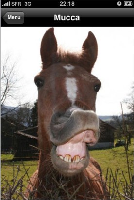 la_mucca_in_scatola_iphone_1