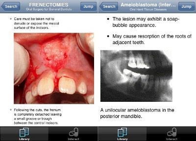 504x_5_-_lexi-dental_complete 504x_5_-_lexi-dental_complete