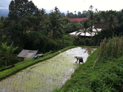 iPhone Art: le foto di Roberto in Indonesia