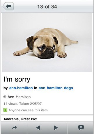 flickr_iphone2 flickr_iphone2