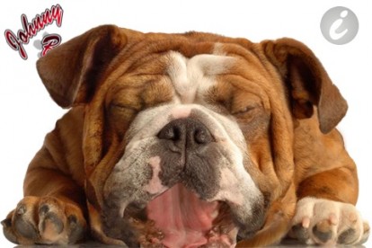 Johnny Burpets: un simpatico bulldog su iPhone