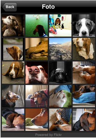 AmicoCane: due importanti novità nella versione 1.3