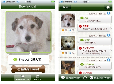Bowlingual: il traduttore della lingua “canina” su AppStore