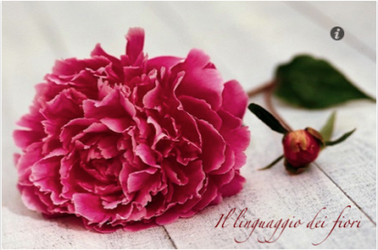 goWare e Food pronti a lanciare nuove applicazioni su AppStore