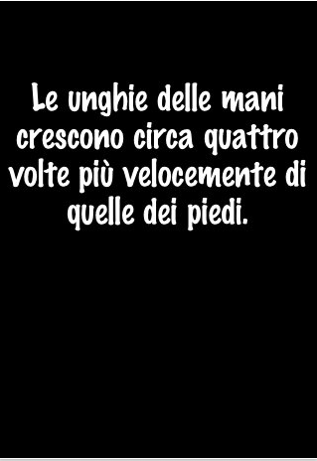 L’applicazione Curiosità disponibile in versione lite