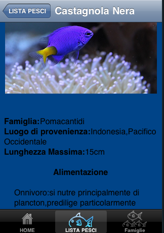 Screen shot 2010-05-26 at 23.38.25