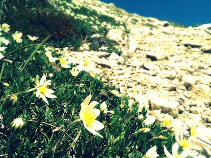 iPhone Art: le foto dei nostri utenti