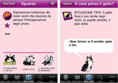 DizioGatto: Il dizionario bilingue italiano/gatto arriva sull’AppStore