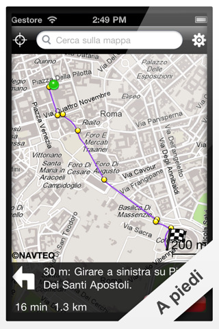 Wisepilot Navigation_3