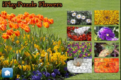 iPlayPuzzle Flowers: puzzle su iphone