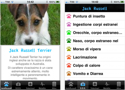 Jack Russel Terrier, ma che bei cani!