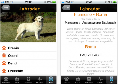 Labrador, l’app gratuita dedicata a questa splendida razza