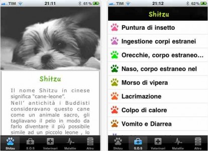 Ami la razza Shitzu? Allora su iPhone c’è un app che fa per te…
