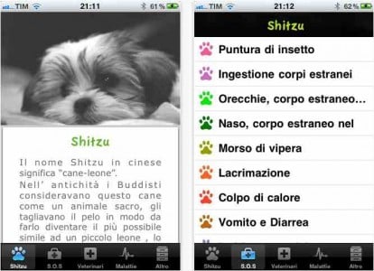 Ami la razza Shitzu? Allora su iPhone c’è un app che fa per te…