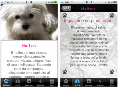Maltese, la settima applicazione per iPhone dedicata alle razze canine