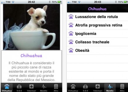 L’app dedicata ai Chihuahua arriva su App Store