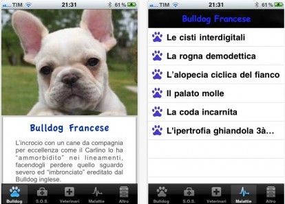Bulldog Francese, l’app dedicata a questa razza canina