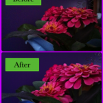 Average Camera Pro, per foto migliori in condizioni di scarsa luminosità