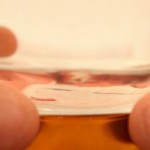 7 notizie per 7 giorni: nuovo appuntamento con la rubrica hi-tech di iPhoneItalia 22/01