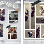 Grid Lens, una fantastica app per creare collage con le vostre foto
