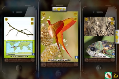 Insecta 360, una completa app dedicata agli insetti