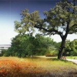 Pubblicate foto inedite del futuro Campus Apple di Cupertino
