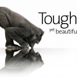 Apple conferma finalmente l’utilizzo del Gorilla Glass su iPhone