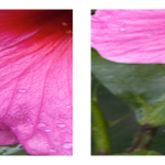 Il sito Apple si veste in alta definizione!