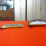 La batteria dell’iPhone 3GS a volte… ingrassa!