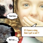 Grazie ad ImageCaption potremo trasformare le nostre foto in simpatiche vignette