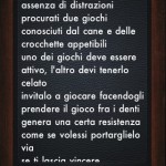 AppSale: oggi in offerta esclusiva “Addestramento Cani”