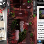 iPhoneItalia Quick Review: Move The Wood, Mr. Cond 2 e myAquarium Diary