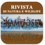 Kamoose, i libri di fotografia per scoprire la natura