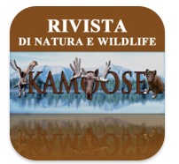 Kamoose, i libri di fotografia per scoprire la natura